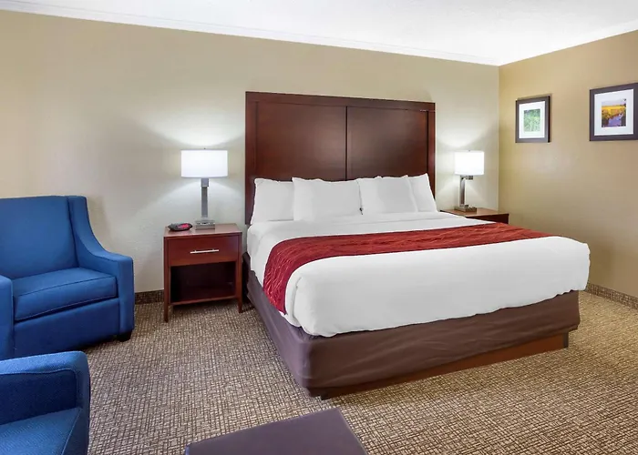 Comfort - Schaumburg 4*
