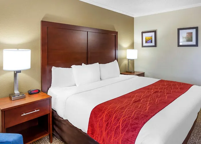 Inn Comfort - Schaumburg 4*