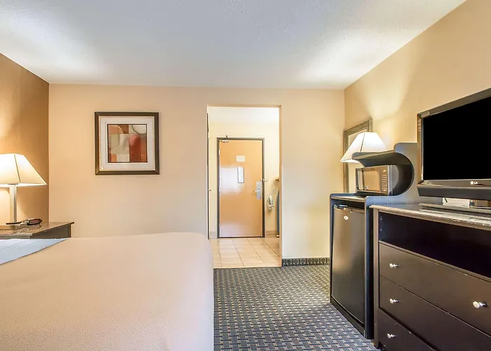 Comfort - Schaumburg 4*