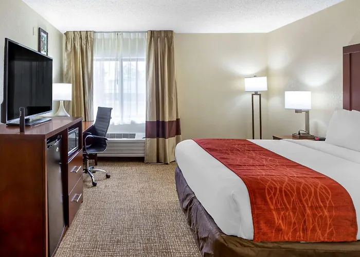 Comfort - Schaumburg Inn Hoffman Estates
