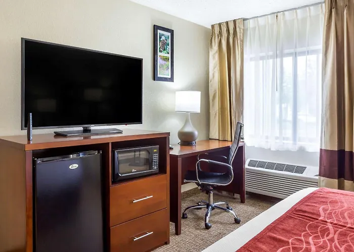 Comfort - Schaumburg Inn Hoffman Estates