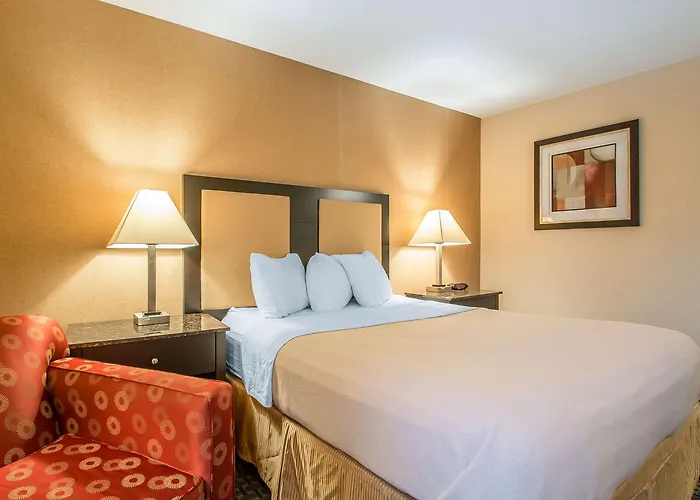 Comfort - Schaumburg 4*