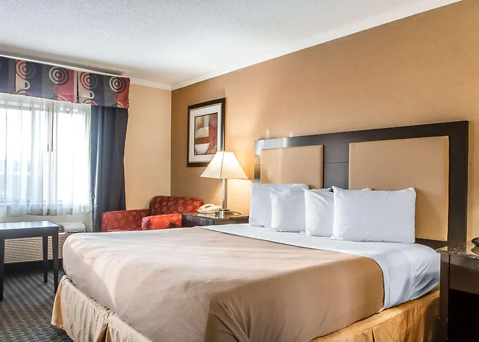 Comfort - Schaumburg Hoffman Estates
