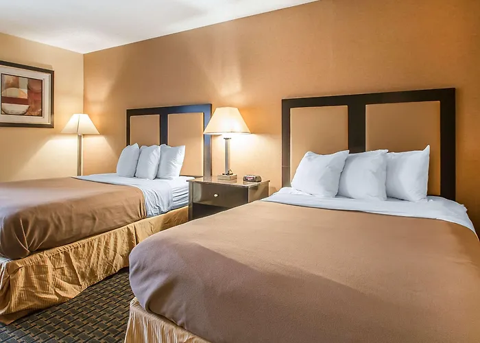 Inn Comfort - Schaumburg 4*