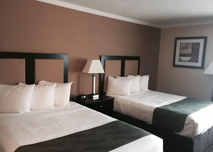 Comfort - Schaumburg 4*