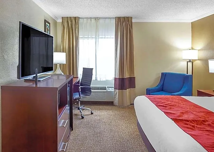 Comfort - Schaumburg Inn