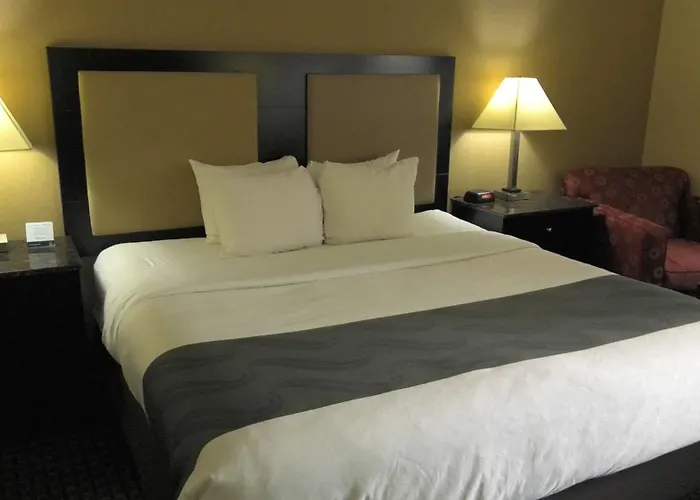 Comfort - Schaumburg Inn Hoffman Estates