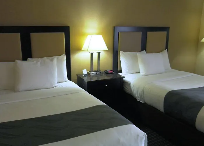 Comfort - Schaumburg Hoffman Estates